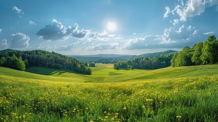 View from the hill in Central Bohemian Uplands the national park Sumava