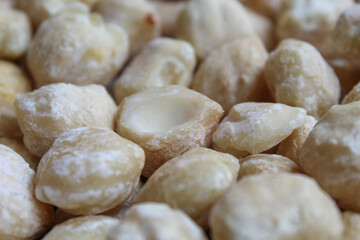 Background texture of dried Indonesian Candlenuts, or Kemiri, the seed of Aleurites moluccanus