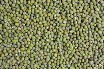 Background texture of mung beans or Vigna radiata or green gram. Flat lay or top view