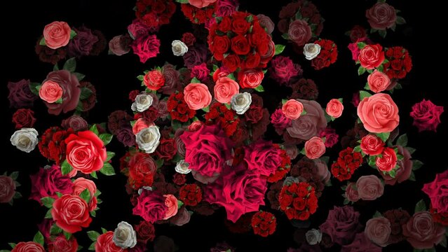 Multicolored Roses Bouquets Falling Motion Background