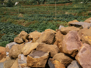 piles of stones taken from the hills are used to build the foundations of houses