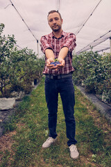 Male holding fresh blueberries on a farm.