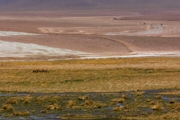 Bolivia Mountain Landscapes. Uyuni mountain views with dirt tracks and arid desert landscapes.