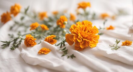 Fototapeta na wymiar Marigold flower on white cotton fabric cloth backgrounds