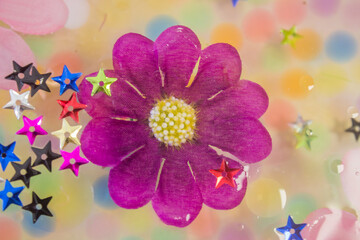 fleur mauve, étoile et couleurs 2