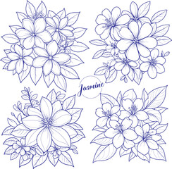 Jasmine set coloring page and outline vector