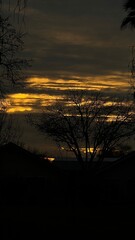 dark sunrise and trees (9:16)