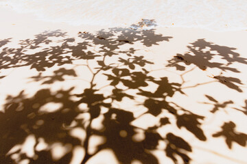Baumschatten am Strand