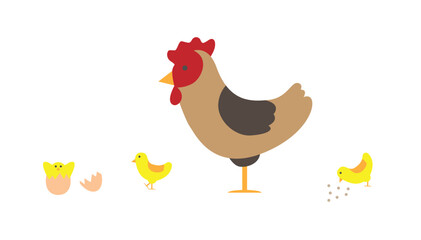 Hen with Little Chicken Flat Style. Farming and domestic birds concept vector