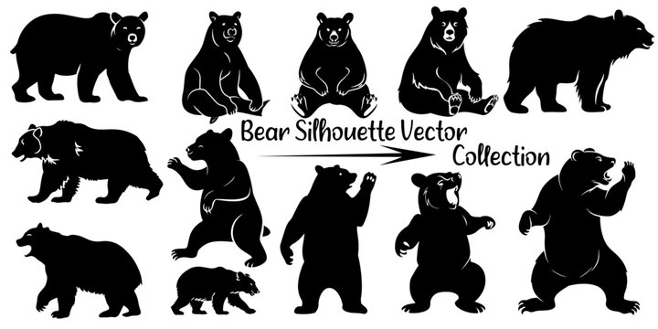 Vector silhouette bear, various bear silhouettes on the white background