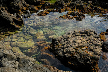 Fototapeta premium Water and rocky shapes on the beach