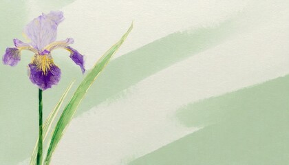 美しい菖蒲の花のイラスト - obrazy, fototapety, plakaty