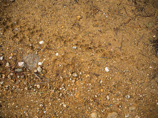 imagen detalle textura suelo de tierra con piedras y marcas de ruedas de bicicleta 