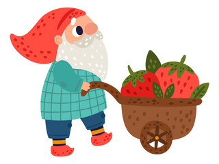 Gnome pushing wheelbarrow with berries. Garden harvest character