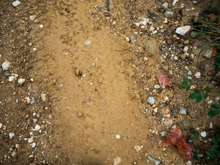 imagen detalle textura suelo de tierra y piedras con marcas de ruedas 