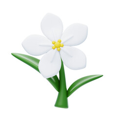 3D Jasmine Cute Fragrant Floral Elegance. 3d illustration, 3d element, 3d rendering. 3d visualization isolated on a transparent background