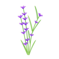 3D Lavender Cute With Three Stems. 3d illustration, 3d element, 3d rendering. 3d visualization isolated on a transparent background