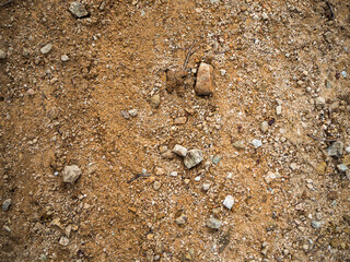imagen detalle textura suelo de tierra y piedras de distintos tamaños, formas y colores 