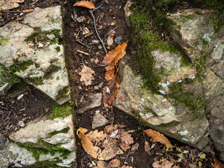 imagen detalle textura suelo de tierra y piedras grandes con hojas secas de por medio 