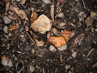 imagen detalle textura suelo de tierra húmeda con hojas secas y piedras de distintos tamaños
