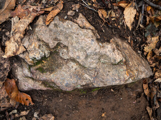 imagen detalle piedra con grietas entre tierra y hojas secas