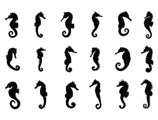 Seahorse silhouette vector art white background © Shabana