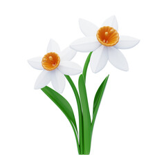 3D Daffodil Cute Cheerful Floral Beauty. 3d illustration, 3d element, 3d rendering. 3d visualization isolated on a transparent background