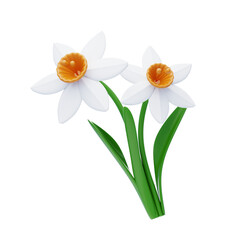 Fototapeta premium 3D Daffodil Cute Cheerful Floral Beauty. 3d illustration, 3d element, 3d rendering. 3d visualization isolated on a transparent background