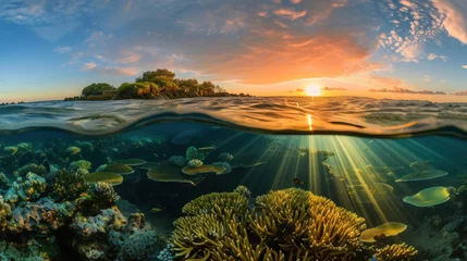 Glasschilderij Bestemmingen Beautiful reef and nice sunset, clear tropical sea