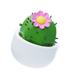 3D Cactus Cute Flower In Pot Desert Floral Charm. 3d illustration, 3d element, 3d rendering. 3d visualization isolated on a transparent background
