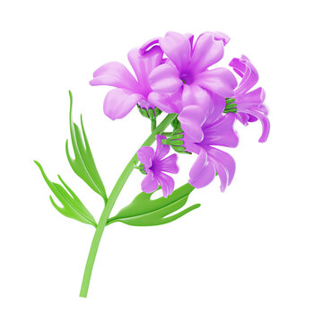 3D Model Statice Flower With Abundant Petal. 3d illustration, 3d element, 3d rendering. 3d visualization isolated on a transparent background