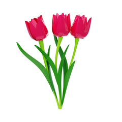 3D Pink Tulip Flower Model Three Blossoms. 3d illustration, 3d element, 3d rendering. 3d visualization isolated on a transparent background