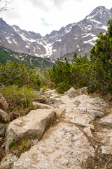 Morskie Oko mountain lake in the Tatras mountains