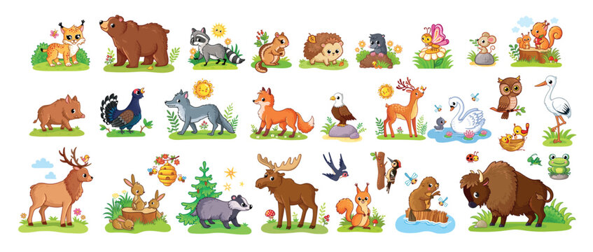 Vector illustration with forest animals. Set of animals in cartoon style