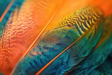 Tuinposter This close-up photo captures the vibrant colors and intricate patterns of a birds feathers, Extreme close-up of a vibrant featherâ€™s texture, AI Generated © Iftikhar alam