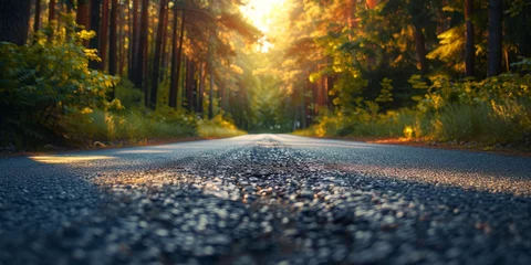 Plexiglas foto achterwand Sunset Illumination on a Forest Road. Sunbeams piercing through trees onto a quiet forest road. © AI Visual Vault