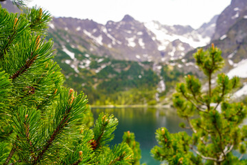 Morskie Oko mountain lake panorama 