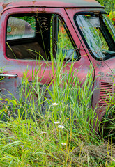 616-38 Old Truck and Daisys - 740873329