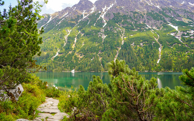 Fototapete bei efototapeten.de bestellen   