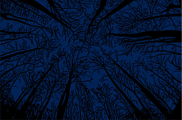 Vektor Darstellung - Knorrige Bäume und Äste im Wald mit Blick zum dunkelblauen Himmel - Mystisch und unheimlich