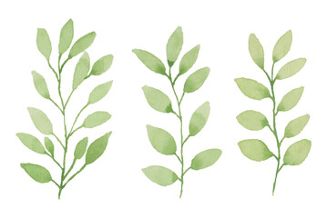 Set of watercolor leaves and branches, Hand drawn watercolor illustration elements for wedding stationary, greetings, wallpapers, fashion, background