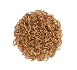 pile of dry beetle worm for animal food feed isolated on white background. flat lay overhead above