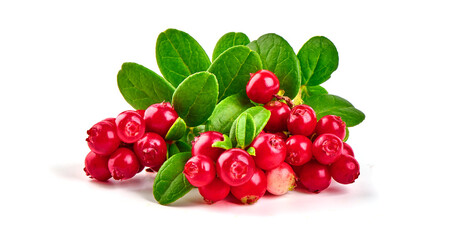 Lingonberry with leaves, isolated on white background