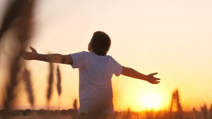 Relaxed male teenager standing at wheat field enjoy freedom silence at sunset sunrise sun sky...