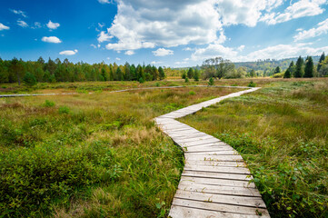 Tarnawa peat bog. Boardwalk across peatland bog habitat, Tarnawa Wyzna, Bieszczady, Outer Eastern Carpathians, Poland, sunny day, beautiful landscape