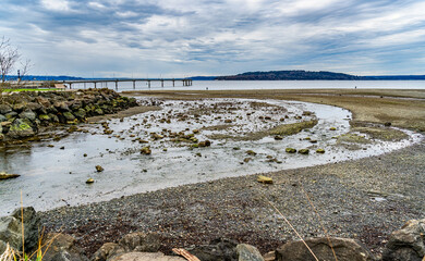 Overcast Shoreline Creek 2