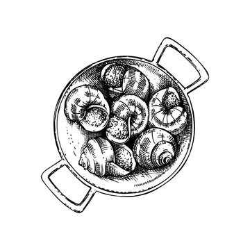 escargots in pan, black and white clip art preview