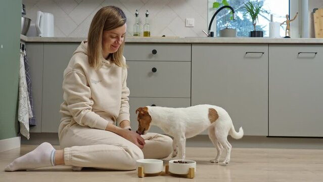 Woman putting food bowl with feed for her dog on the floor in kitchen, An hungry dog waits for eat, Pet care