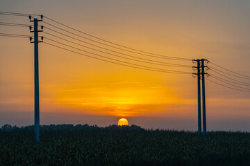 Power lines in sunset