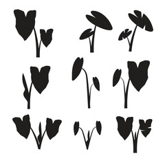 taro leaf silhouette design vector